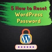 How to Reset WordPress Password? 5 Methods You Can Use
