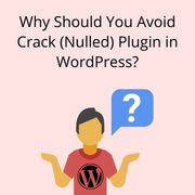 Why Should You Avoid Crack (Nulled) Plugin in WordPress?