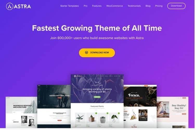 seo friendly wordpress theme