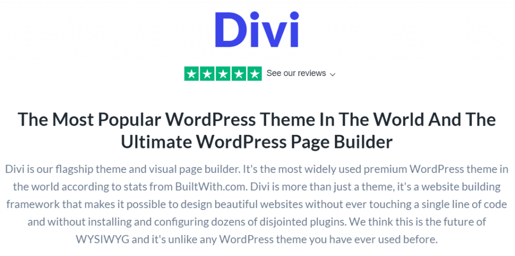 divi theme review