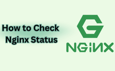 6 Ways How to Check Nginx Status