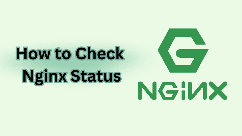 Check Nginx Status